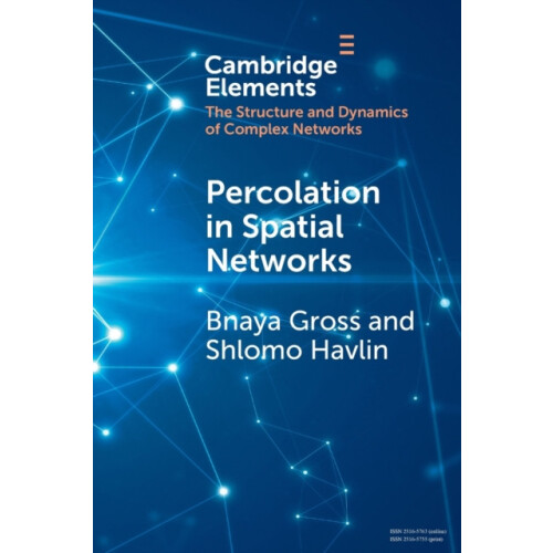Percolation in Spatial Networks by Bnaya Gross Paperback Book