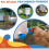5PCS Poultry Kit Automatic Chicken Water Feeder Automatic Drinking Bowl Feeding Watering Supplie Chicken Waterer 4