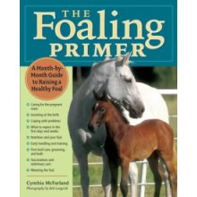 Foaling Primer A StepByStep Guide to Raising a Healthy Foal by Cynthia