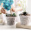 Vasos de OrquíDea - 7 Polegadas - 5 Potes e Pires, Potes de OrquíDea com Furos e Potes de PláStico Transparente para Repotting 6