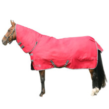 (4' 9", Red) StormX Empra Combi Combo Neck 300g Horse Turnout Rug