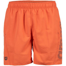 Arena Mens Board Shorts