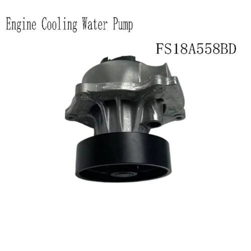 FS18A558BD Engine Cooling Water Pump Radiator Water Pump for  Territory A2 2