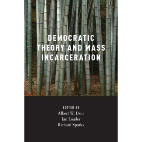 Democratic Theory and Mass Incarceration Hardcover Book