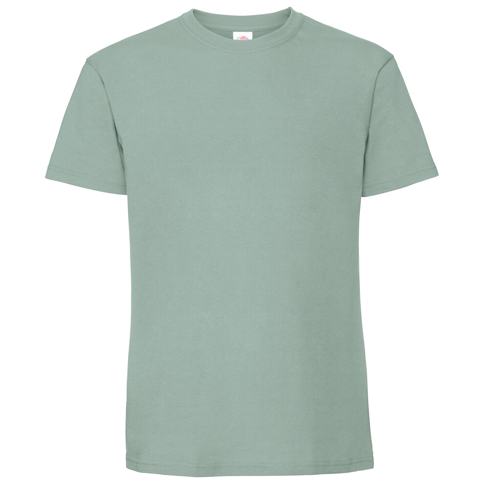 Fruit Of The Loom (3Xl, Sage) Mens Ringspun Premium T-Shirt