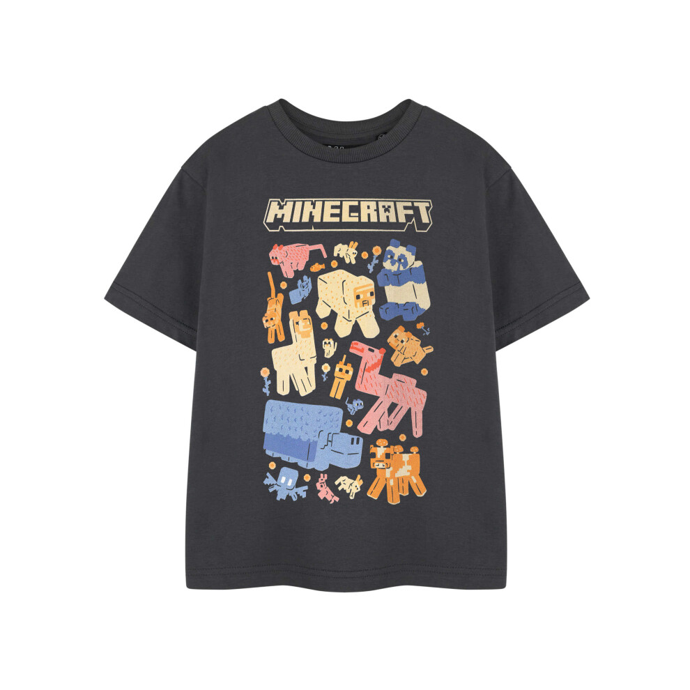 Minecraft (3-4 Years) Short Sleeved T-Shirt (Girls Grey)
