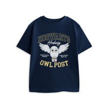 (7-8 Years) Harry Potter Short Sleeved T-Shirt (Girls Blue)