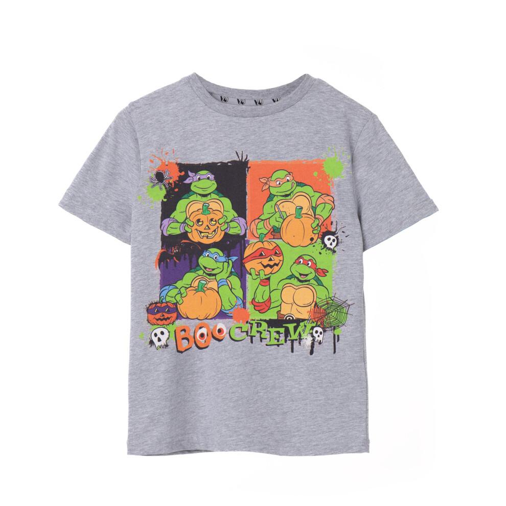 Teenage Mutant Ninja Turtles (7-8 Years) Short Sleeved T-Shirt (Unisex Kids Grey)