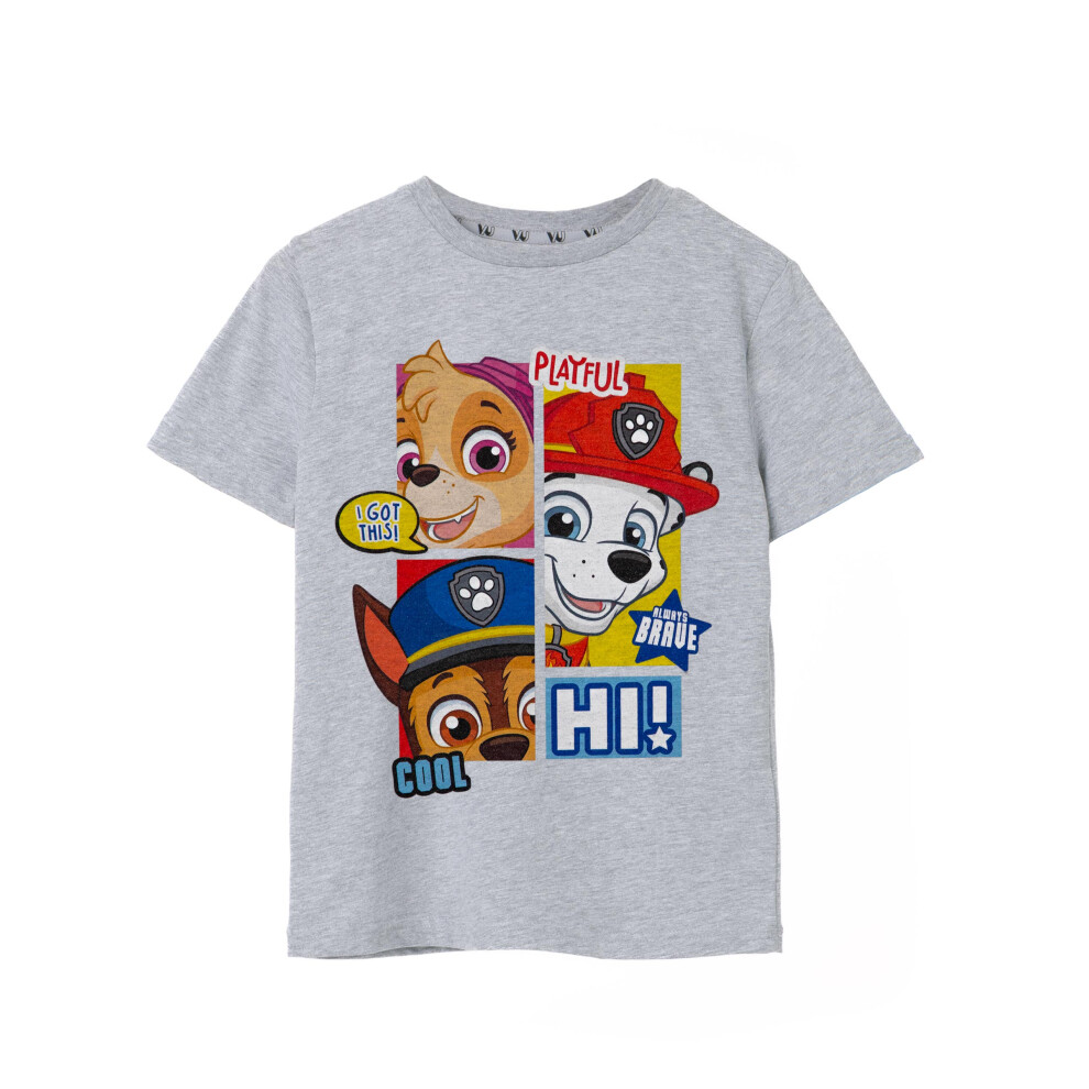 Paw Patrol (3-4 Years) Short Sleeved T-Shirt (Boys Grey)