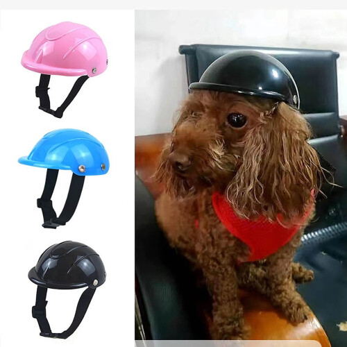Cat Motorcycle Gear Adjustable Breathable Protective Vest 2