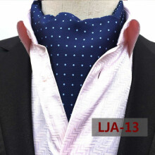 Men's Paisley Polka Dot Cravat Scarf Ascot Neck Tie