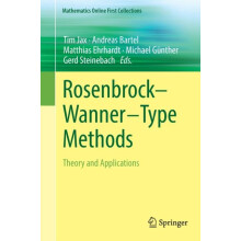 RosenbrockWannerType Methods Theory and Applications Paperback Book