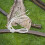 Tree Swing Strap Kit Heavy Duty Adjustable 1 Set 7