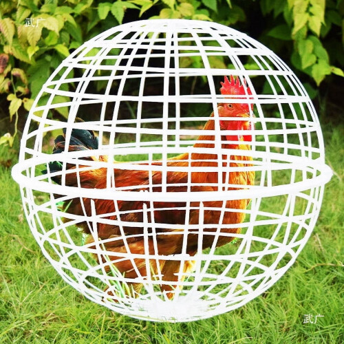 Rolling Chicken Coop Sphere 30 cm Portable Outdoor Poultry