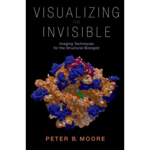 Visualizing the Invisible Imaging Techniques for the Structural Biolog