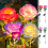 Solar Garden Lights LED Rose Design 6 Pack 1