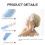 Plastic Comb with Ergonomic Curved Handle for All Hair Types 3