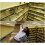 Backrooms (2026) Blu-ray 1080P BD 3