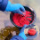 Fishing Gear Bundle Thermal Waterproof Gloves and 3-Claw 5