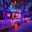 Green Christmas Mini Lights 200 LED 66 Ft Purple 2