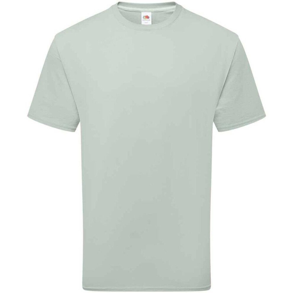 Fruit Of The Loom (M, Sage) Unisex Adult Cotton T-Shirt
