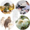 Parrot Water Feeder - 490ml Bird Water Container 4