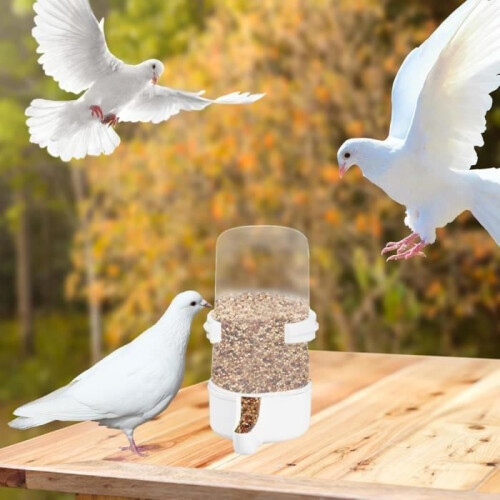 Papageien-Wasserspender – 490-ml-Vogelwasserbehälter 1