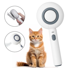 Cat Steam Brush Electric Spray Water Spray Kitten Pet Comb Soft Silicone Brush