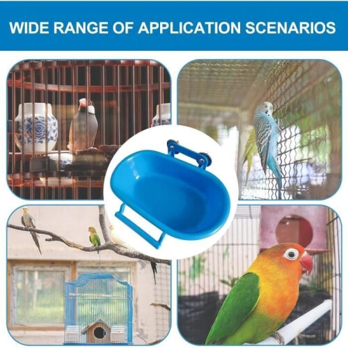 Vogelbad - Papegaai - Blauw - Groot formaat - PP 1