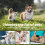 Pet Brush - YSFMODE - Grooming Comb - Ergonomic Handle - Double-Sided - Easy Cleaning 5