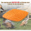 Chicken Nesting Mat - 8pcs - Silica Gel - Orange - 30cm x 30cm 2