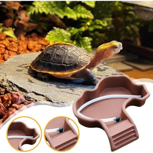 Turtle tank - Polypropylene - 35.5x32x7 cm - Brown 1