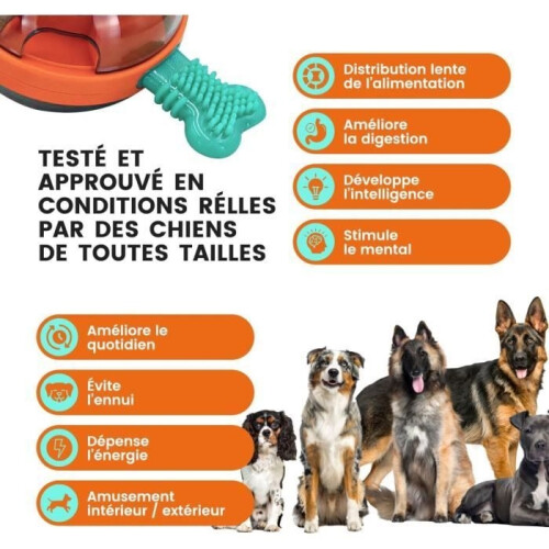Indestructible Interactive Dog Toy - Kong-Style Intelligence Game - Interactive Ball - Small, Intelligent Activity Toy 1