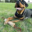 Chew Toy - Bow Calico - Jute - Extra Robust - Durable Interactive 4