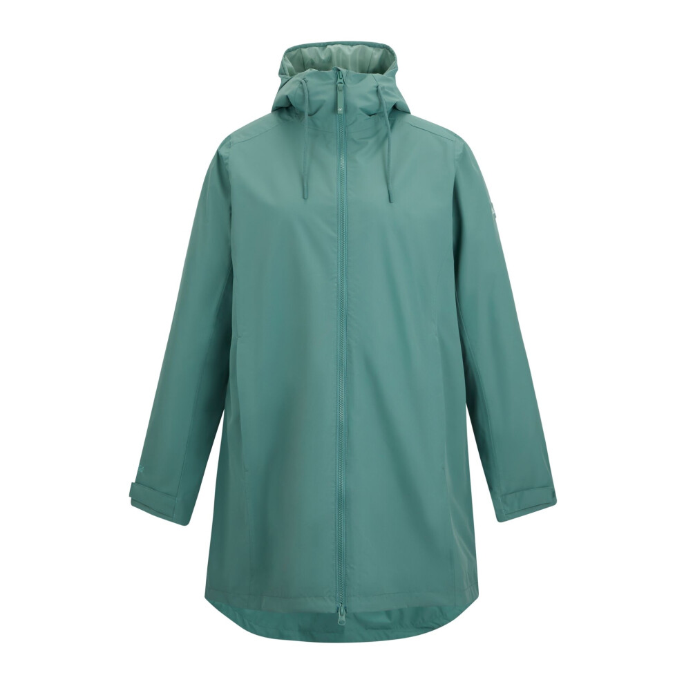 Regatta (20 Uk, Ivy Moss) Womens/Ladies Brianka Waterproof Jacket