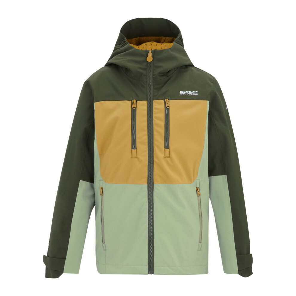 Regatta (11-12 Years, Dark Khaki/Wood Brown/Light Sage) Childrens/Kids Highton Monochrome Waterproof Jacket