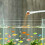 Multifunctionele aquariumschepjes set van 3 doseerlepels met 5