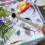 Cuillère de dosage pour Aquarium, 3 pièces, cuillères 6