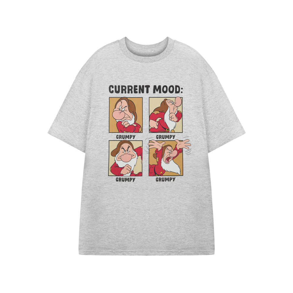 Disney (Small) Snow White & The Seven Dwarfs Short Sleeved T-Shirt (Mens Grey)