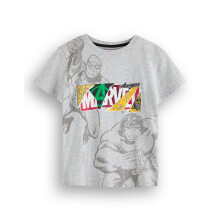 (4-5 Years) Marvel Avengers Short Sleeved T-Shirt (Unisex Kids Grey)