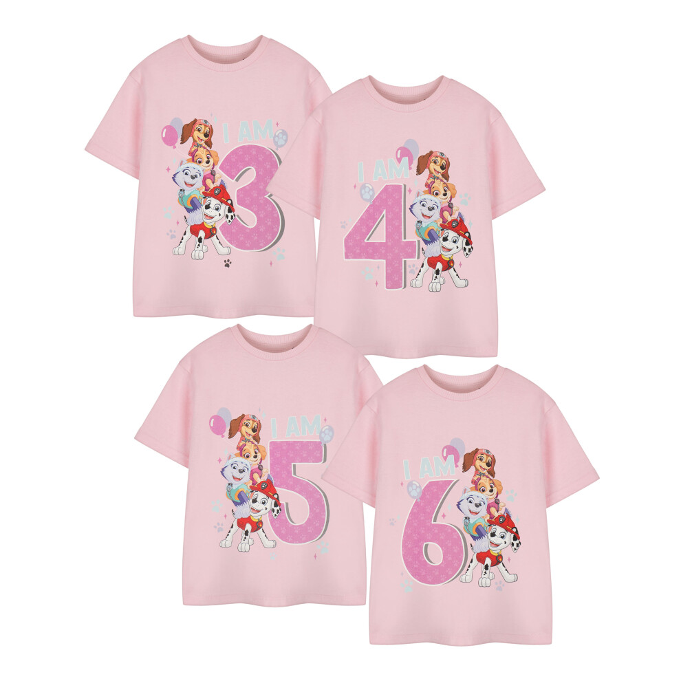Paw Patrol (2-3 Years) Short Sleeved T-Shirt (Girls Pink)
