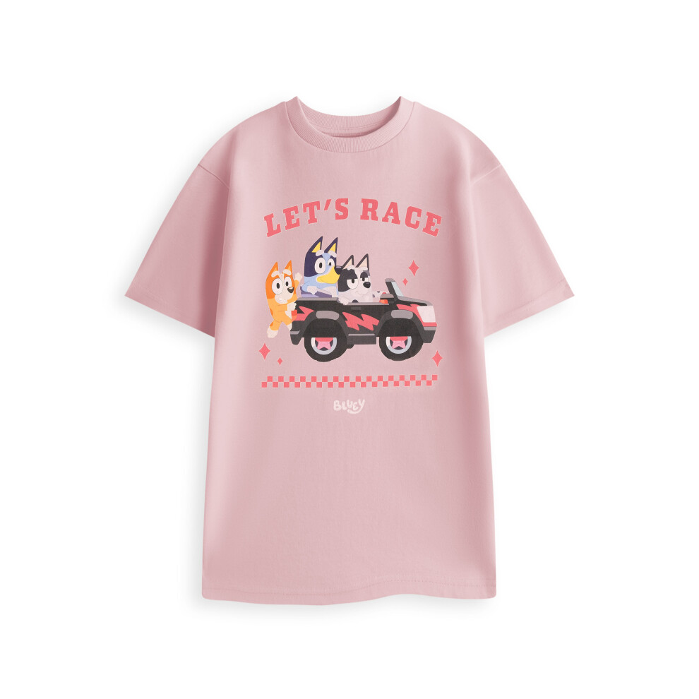 Bluey (Xx-Large) Short Sleeved T-Shirt (Womens Pink)