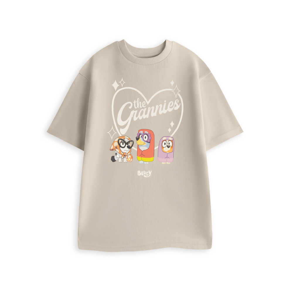 Bluey (Xx-Large) Short Sleeved T-Shirt (Mens Beige)