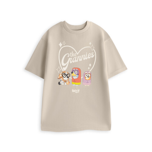 Bluey (Large) Bluey Short Sleeved T-Shirt (Mens Beige)