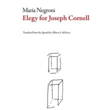 Elegy for Joseph Cornell by Mara Negroni Paperback Book