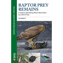 Raptor Prey Remains A Guide to Identifying Whats Been Eaten by a Bird