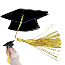 Pinces à cheveux en forme de griffe, barrettes de remise de diplômes pour étudiantes, femmes et filles, idéales pour les voyages, l'éco