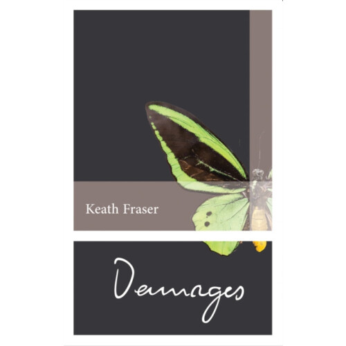 Damages Selected Stories 19822012 by Keath Fraser Paperback Book