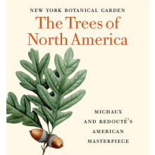The Trees of North America Michaux and Redouts American Masterpiece by