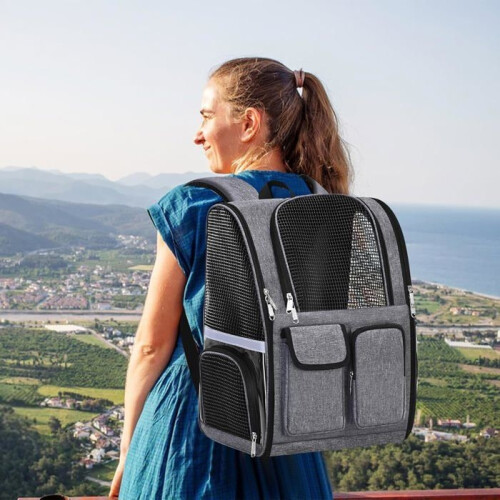 Haustierrucksack, flugtauglicher Hunderucksack 1